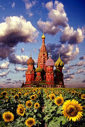 russia, moscow, st. basil, sunflower