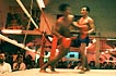 thai kick boxing