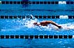 free style, swimming stock photo
