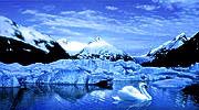 swan lake, glacier Alaska