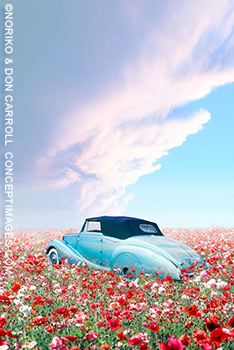 03in-the-poppies.jpg
