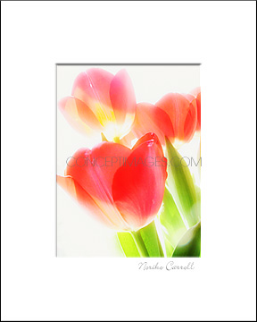 flower photo print