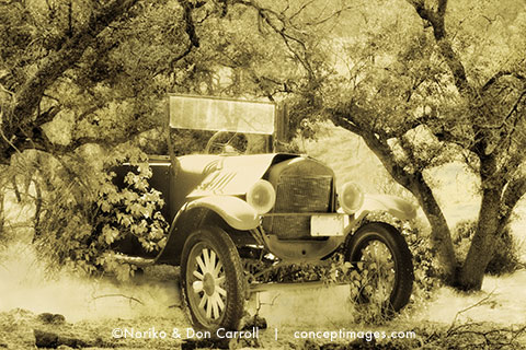 farm truck in sepia